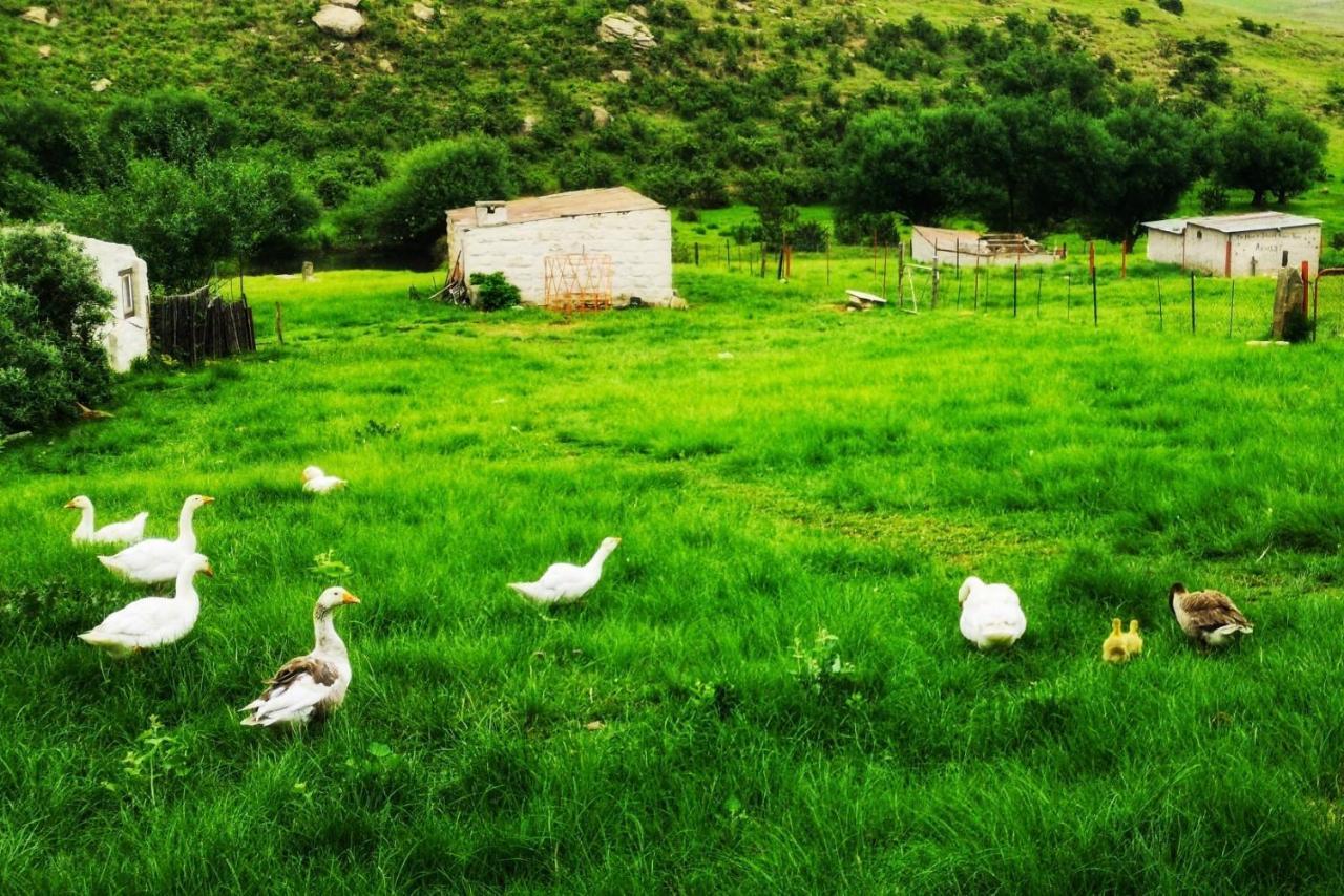 Вілла Oban Historical Guest Farm Van Reenen Екстер'єр фото